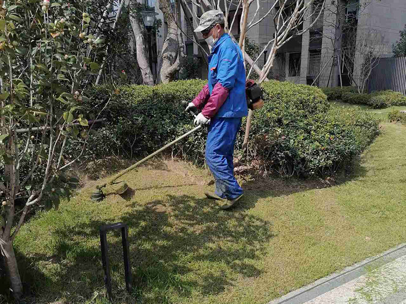 常州市晉陵文景