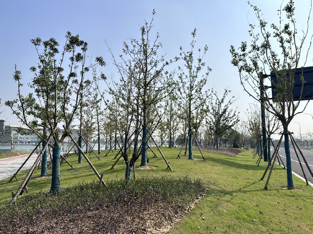 經(jīng)開(kāi)區(qū)城市客廳